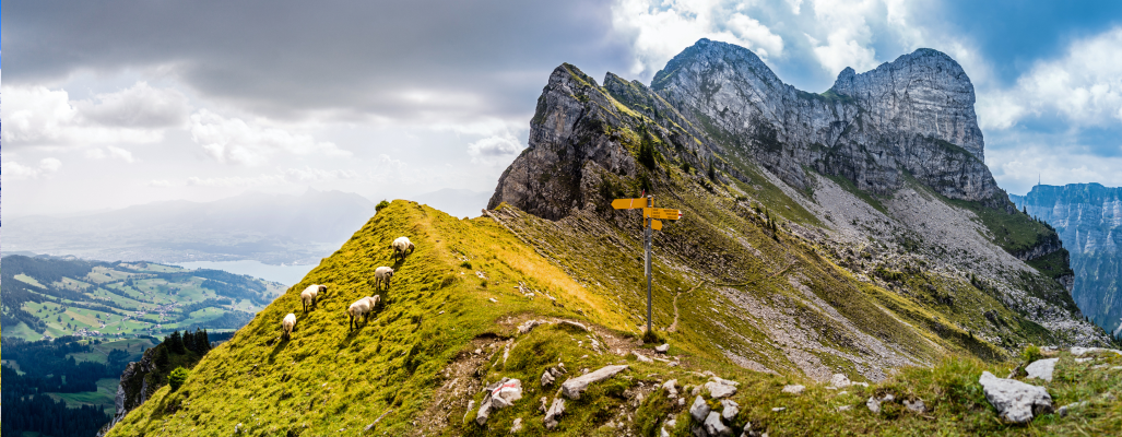 CEEL-Fiskalvertretung_Landingpage-Hero_3