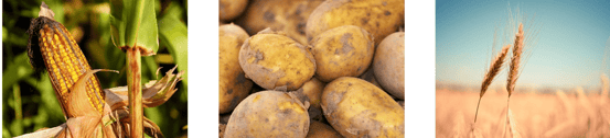 image-png-Jul-01-2024-02-15-21-0529-PM