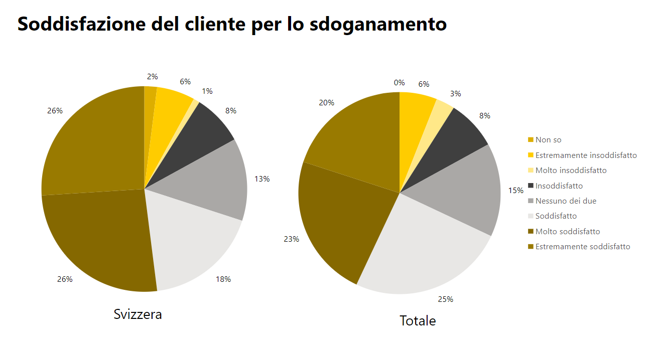 Soddisfazione del cliente per lo sdoganamento