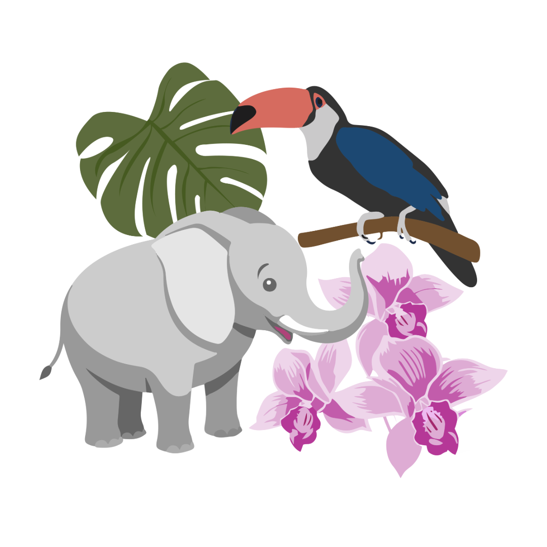 Illustrazione di un elefante e di un tucano gigante, oltre a fiori e una pianta sullo sfondo.